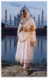 ash_dl2.gif (42170 bytes)